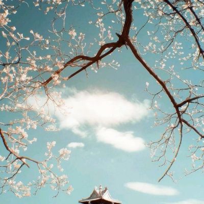 久游棋牌下载手机版